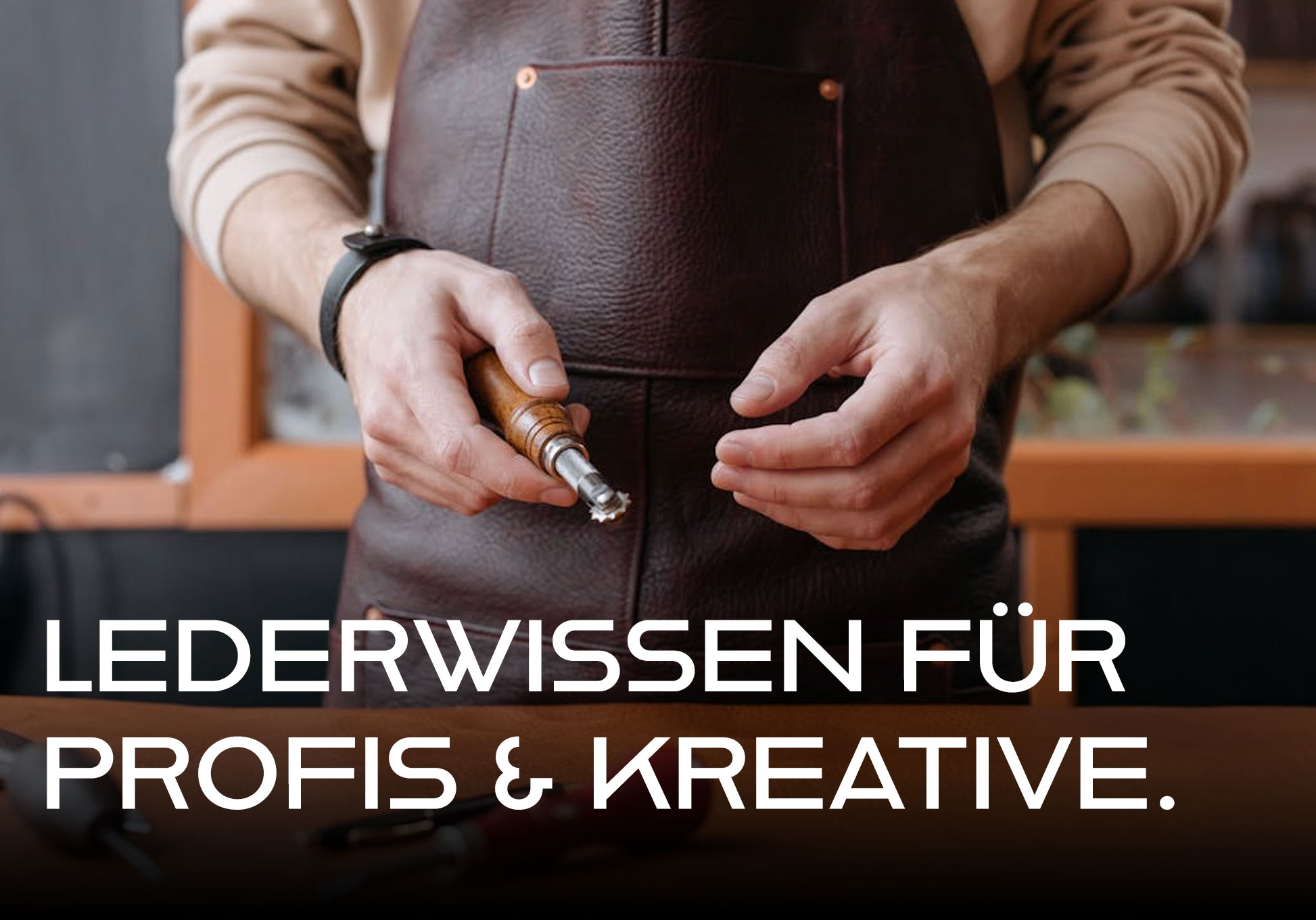 Lederwissen für Profis und Kreative