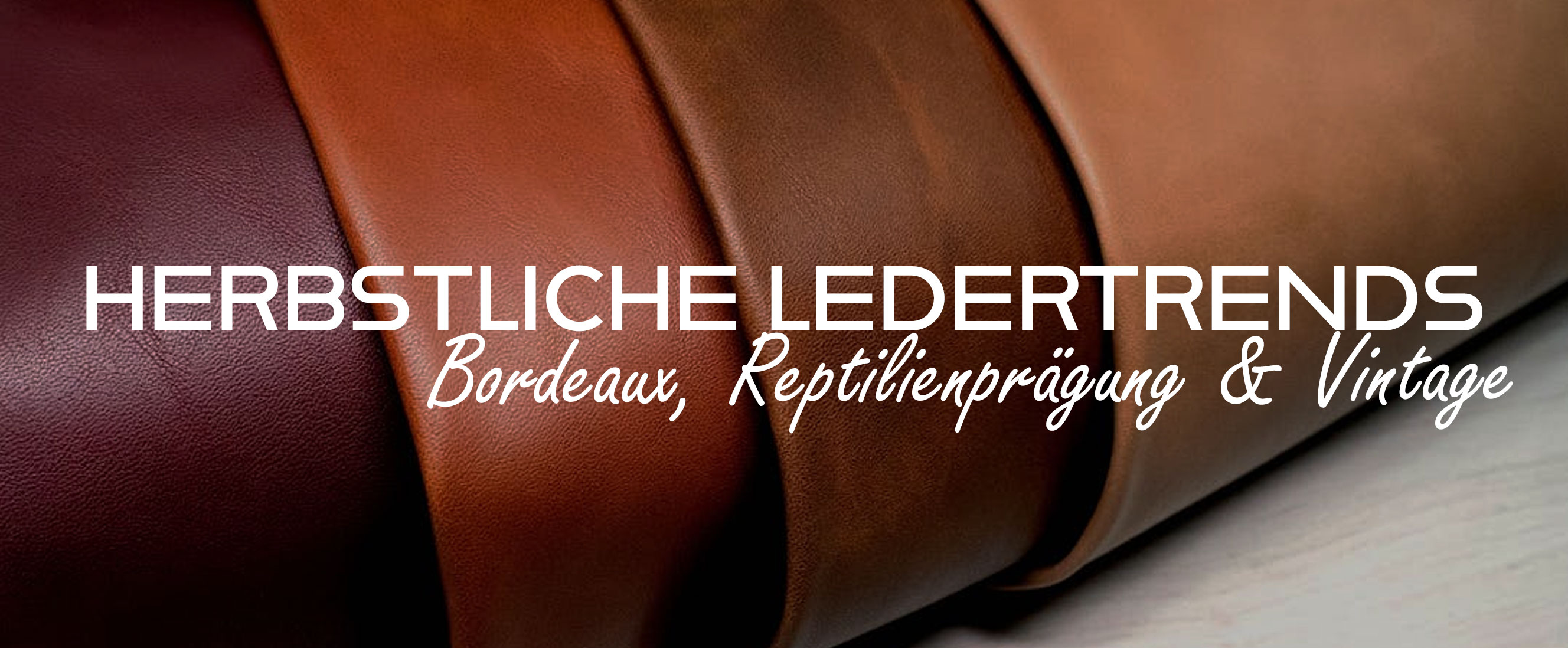Premium Leder Aktion