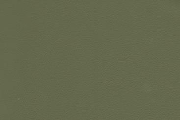 Echtleder - Soft - Cheyenne Schilfgrün