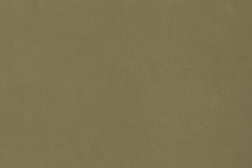 Echtleder - Softtouch - Louisiana Grünbeige