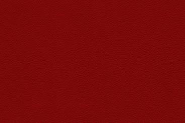 Rot