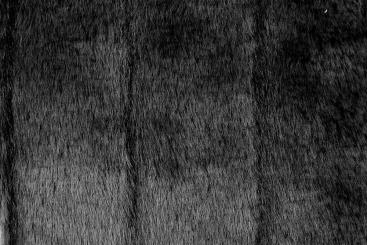 Pelzimitat - Nerz - Schwarz 