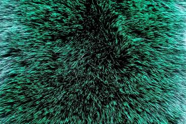 Pelzimitat - Luxus Pur - Grün 