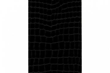 Leder-Imitat Waterproof - Riesenschlange Schwarz