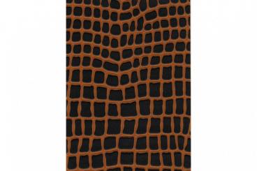 Leder-Imitat Waterproof - Riesenschlange Schwarz/Cognac