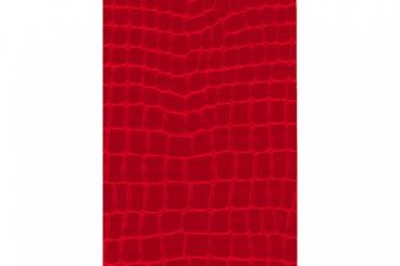 Leder-Imitat Waterproof - Riesenschlange Rot