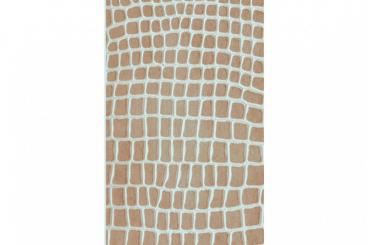 Leder-Imitat Waterproof - Riesenschlange Vintage Sand/Silber