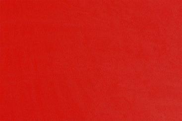 Rot