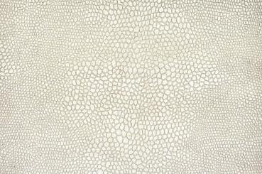 Wildleder-Imitat - Python Creme
