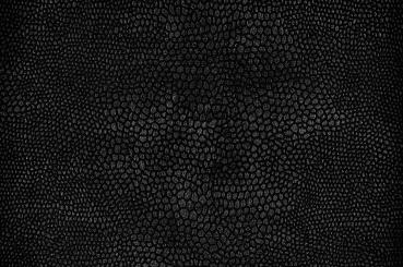 Wildleder-Imitat - Python Schwarz