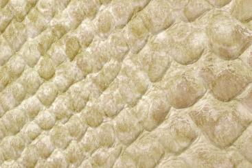 skai® Aythana N - Schlangenleder-Imitat Beige