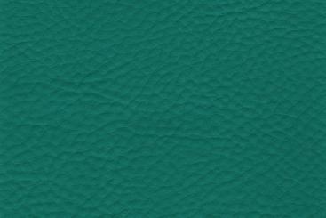 Petrol