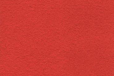 Rot