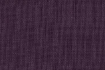 Aubergine