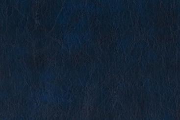 Blau - TwoTone