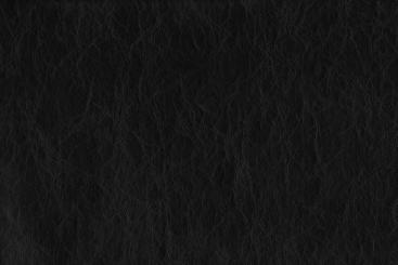 Schwarz - TwoTone