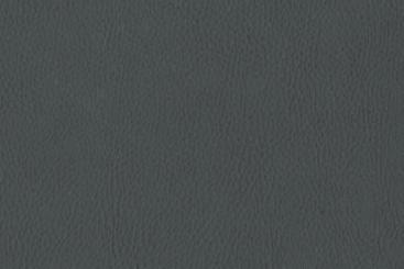 Echtleder-Haut Arizona - Mindestgröße 0,5 qm - Dunkelgrau 