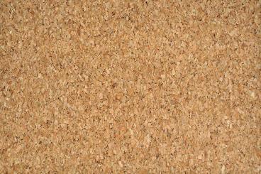 Kork-Leder Edel - fein 