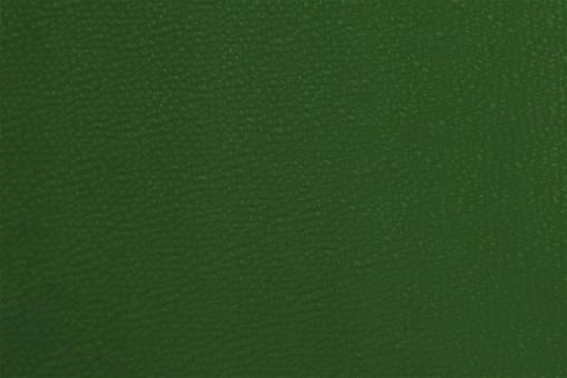 Kunstleder - Waterproof Grün