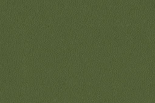 Echtleder - Softtouch - Texas Moosgrün