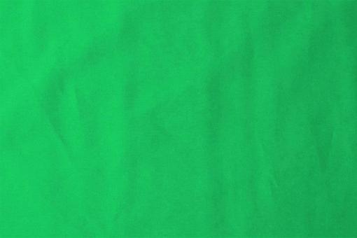 Baumwollstoff - Basic Apfelgrün