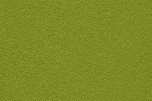 Echtleder - Soft - Sierra Hellgrün
