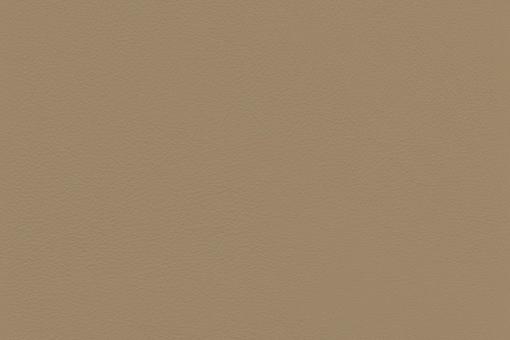 Echtes Nappaleder - No. 4 Beige