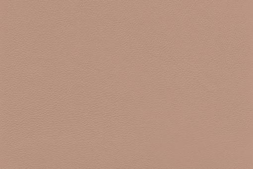 Echtes Nappaleder - No. 4 Beige-Rot