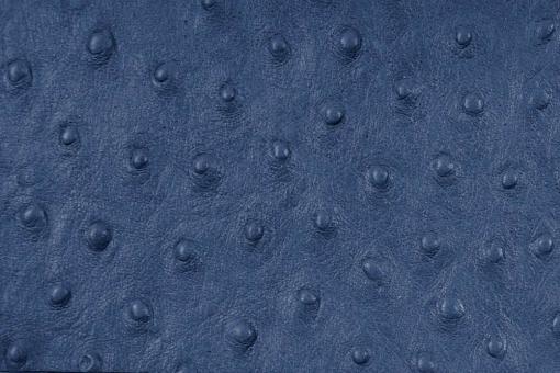 Echtes Leder geprägt - Strauß - ganze Haut Nachtblau
