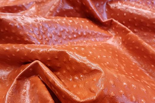 Echtes Leder geprägt - Strauß - ganze Haut Terra