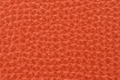 Echtleder-Stück Roma - Croupon Terra