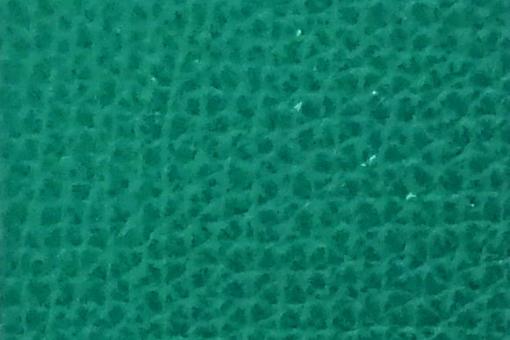 Echtleder-Stück Roma - Croupon Waldgrün