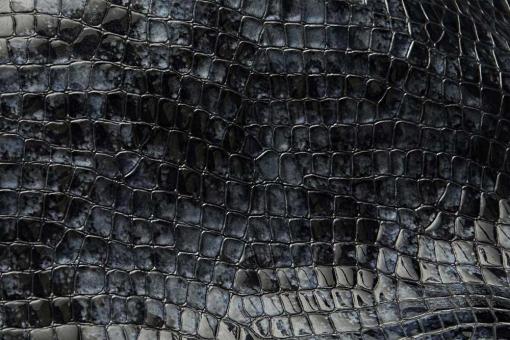 Kalbsleder Premium - Cairo Crocodile - Schwarzblau 