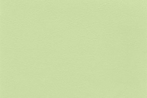 skai® Tundra - Standardkunstleder -  uni Pistazie