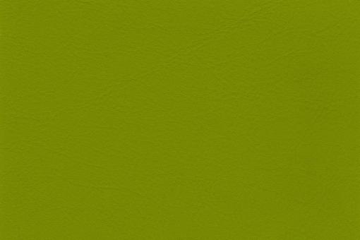 skai® Tundra - Standardkunstleder -  uni Hellgrün