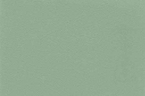 skai® Tundra - Standardkunstleder -  uni Mint