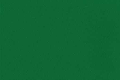 skai® Tundra - Standardkunstleder -  uni Grün