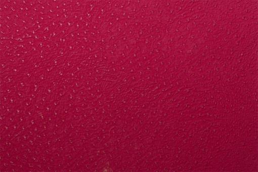 Leder-Imitat Waterproof - Baby-Strauß Erika