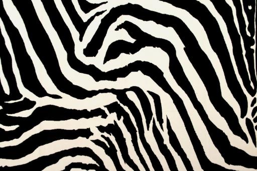 Möbelsamt-Stoff Steppen-Zebra 