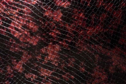 Kalbsleder Premium - Cairo Crocodile - Bordeaux 