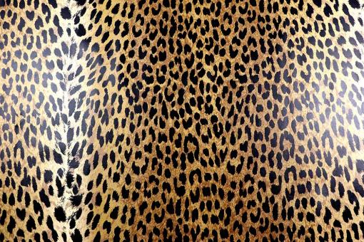 Echtleder Jakarta - Leo-Print - 2 qm 